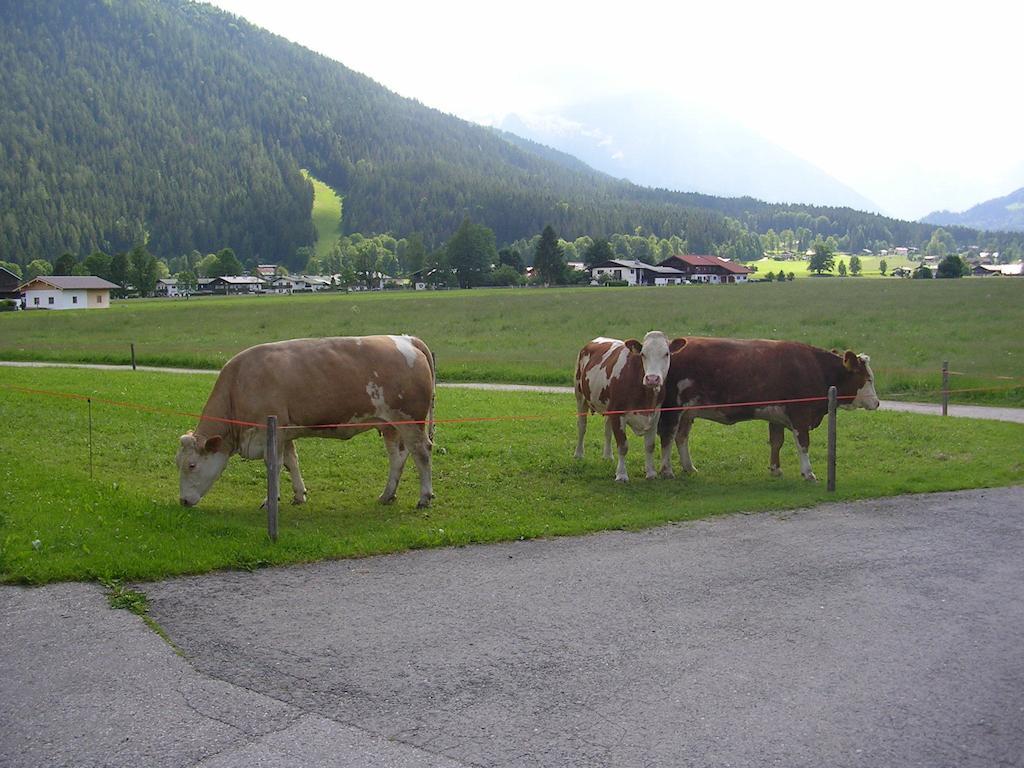 Hotel Gaestehaus Bodnerlehen Schönau am Königssee Habitación foto